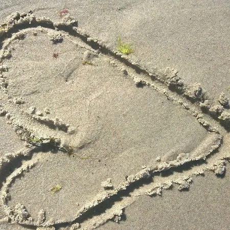 Strandhafer - Nur 300m Vom Meer Ostseebad Kühlungsborn